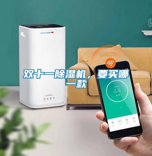雙十一除濕機，要買哪一款
