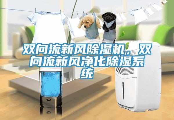 雙向流新風除濕機，雙向流新風凈化除濕系統