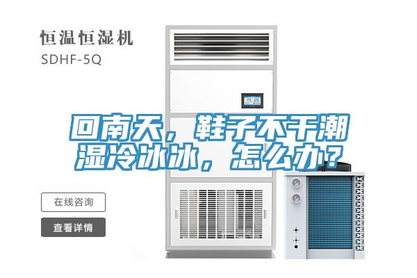 回南天，鞋子不干潮濕冷冰冰，怎么辦？