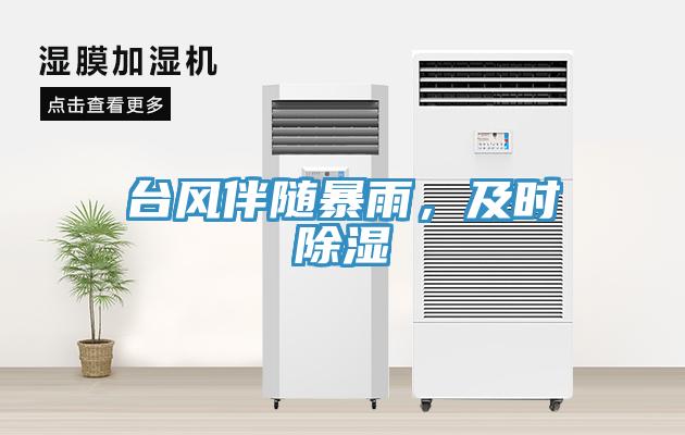 臺風伴隨暴雨，及時除濕