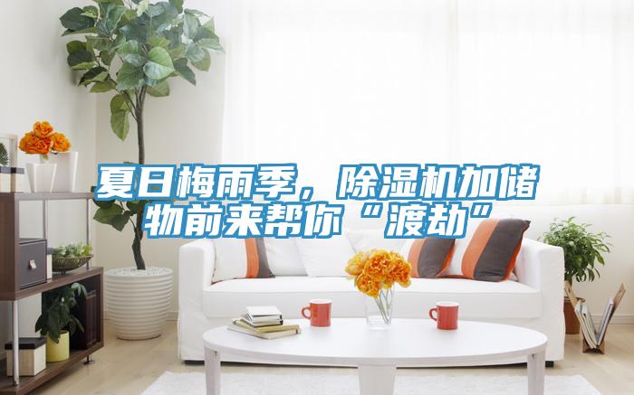 夏日梅雨季，除濕機加儲物前來幫你“渡劫”