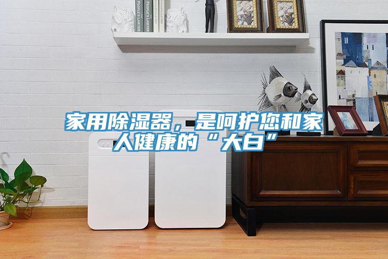 家用除濕器，是呵護您和家人健康的“大白”