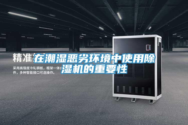 在潮濕惡劣環境中使用除濕機的重要性