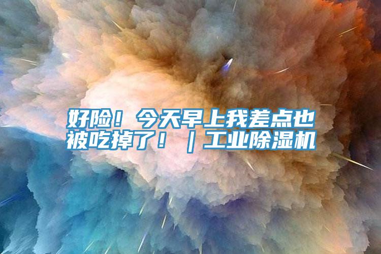 好險！今天早上我差點也被吃掉了！｜工業除濕機