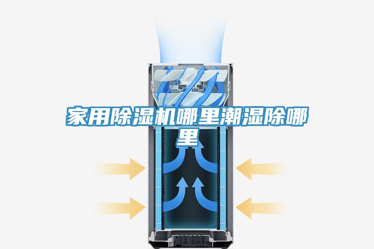 家用除濕機哪里潮濕除哪里