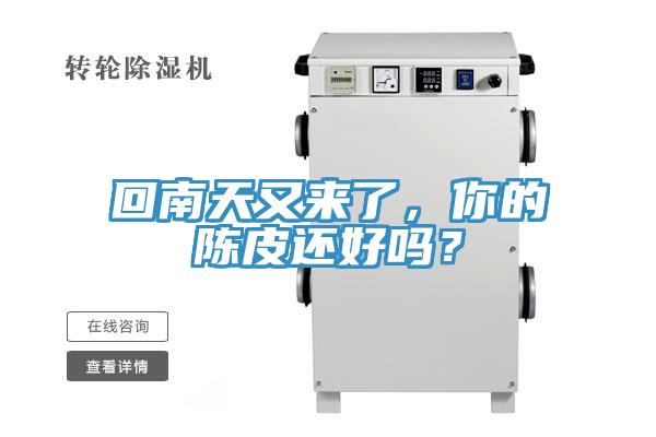 回南天又來了，你的陳皮還好嗎？
