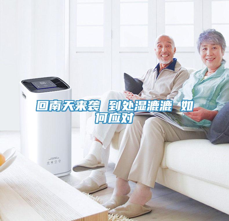 回南天來襲 到處濕漉漉 如何應對