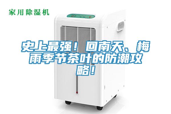 史上最強！回南天、梅雨季節茶葉的防潮攻略！