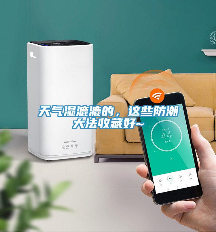 天氣濕漉漉的，這些防潮大法收藏好~