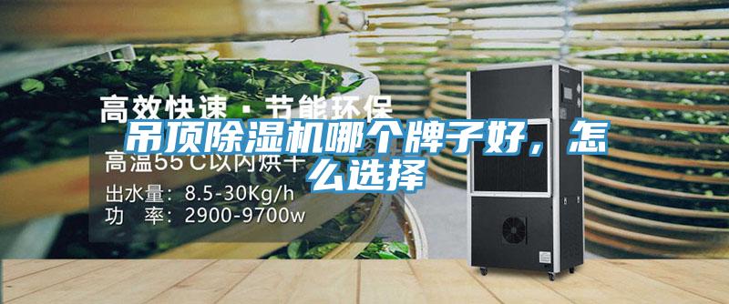 吊頂除濕機哪個牌子好，怎么選擇