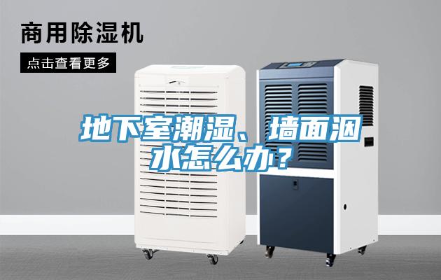 地下室潮濕、墻面洇水怎么辦？
