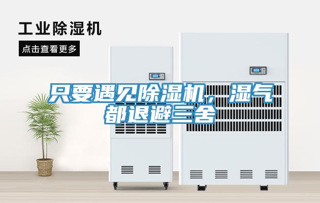 只要遇見除濕機，濕氣都退避三舍