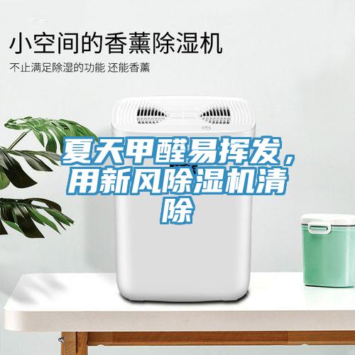 夏天甲醛易揮發，用新風除濕機清除