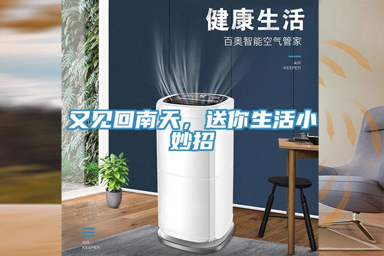 又見回南天，送你生活小妙招