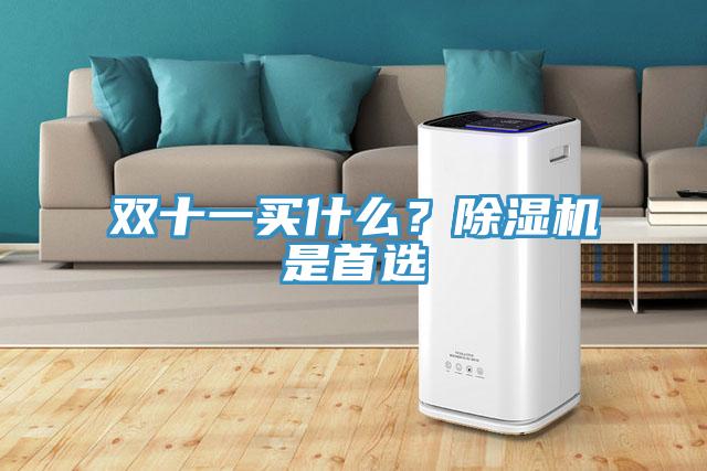 雙十一買什么？除濕機是首選