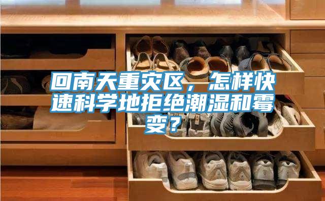回南天重災區，怎樣快速科學地拒絕潮濕和霉變？