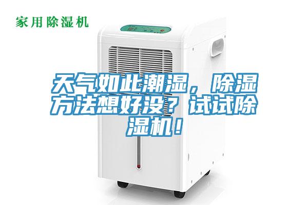 天氣如此潮濕，除濕方法想好沒？試試除濕機！