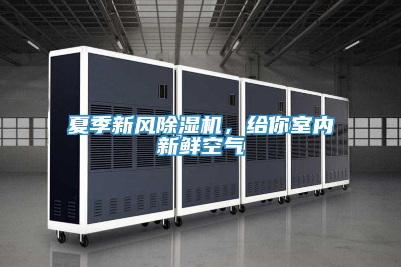 夏季新風除濕機，給你室內新鮮空氣