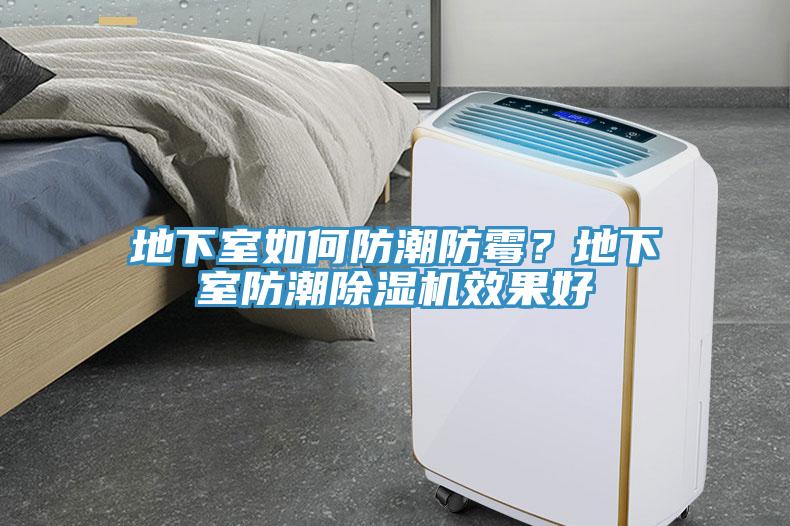 地下室如何防潮防霉？地下室防潮除濕機效果好