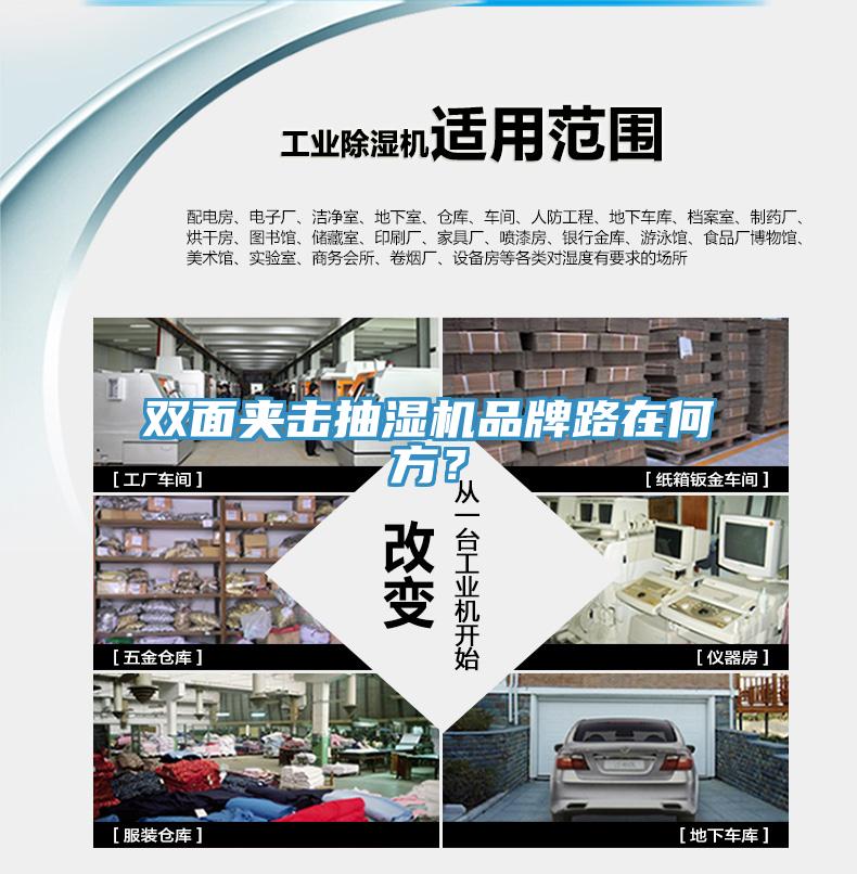 雙面夾擊抽濕機品牌路在何方？