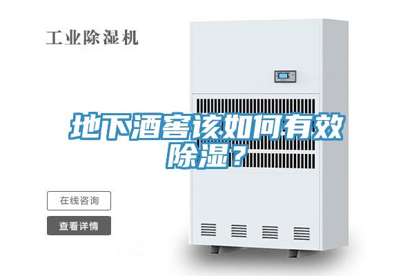 地下酒窖該如何有效除濕?