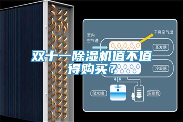 雙十一除濕機值不值得購買？