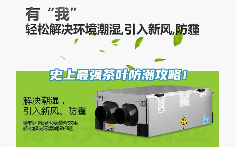 史上最強茶葉防潮攻略！