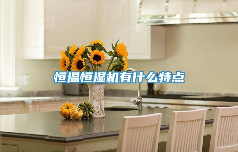 恒溫恒濕機有什么特點