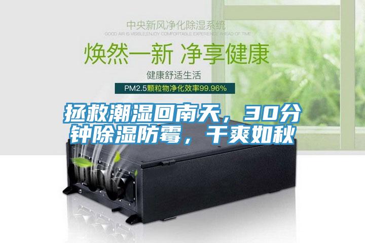 拯救潮濕回南天，30分鐘除濕防霉，干爽如秋
