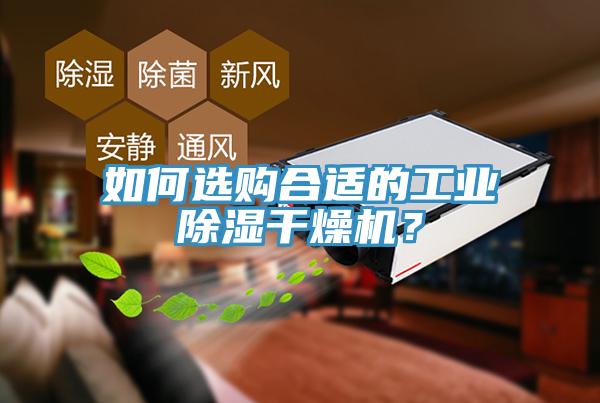 如何選購合適的工業除濕干燥機？