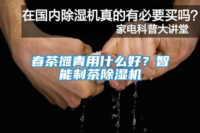 春茶攤青用什么好？智能制茶除濕機