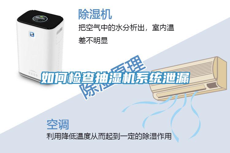 如何檢查抽濕機系統泄漏