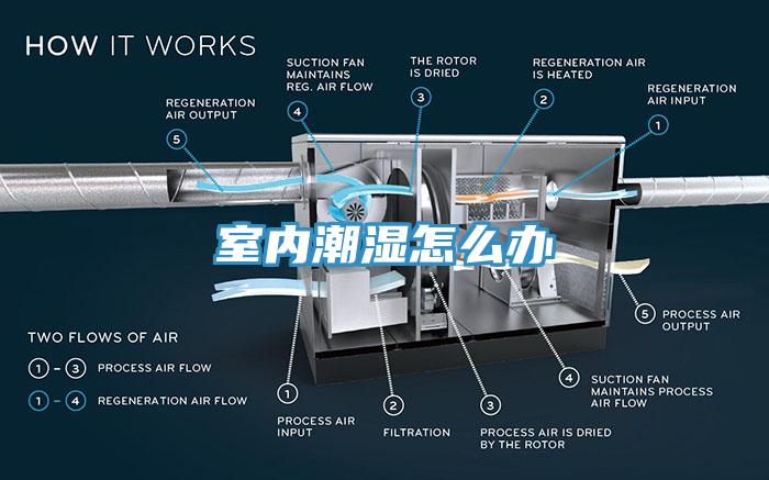 室內潮濕怎么辦