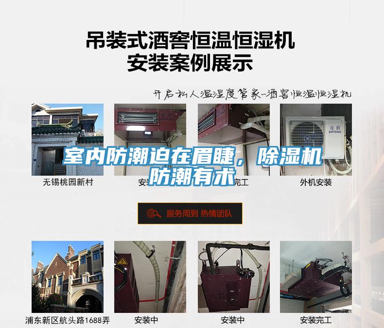 室內防潮迫在眉睫，除濕機防潮有術
