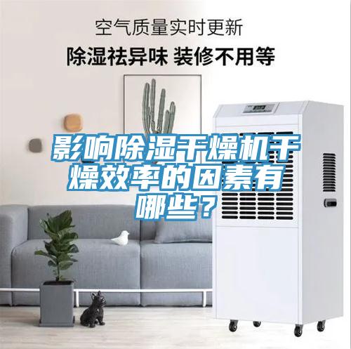 影響除濕干燥機干燥效率的因素有哪些？
