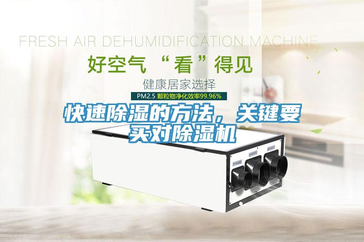 快速除濕的方法，關鍵要買對除濕機