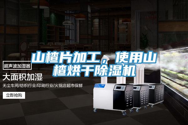 山楂片加工,使用山楂烘干除濕機