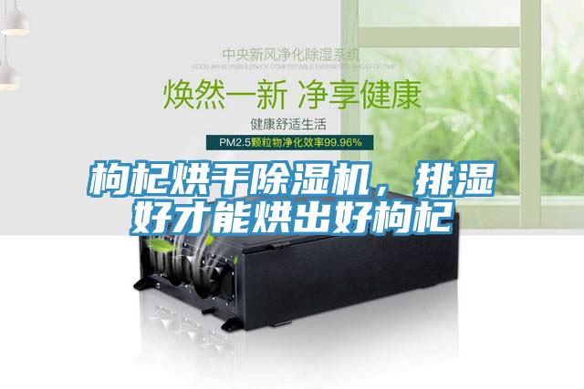 枸杞烘干除濕機，排濕好才能烘出好枸杞