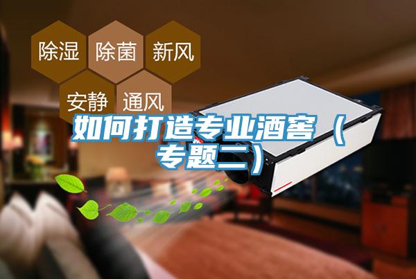 如何打造專業酒窖（專題二）