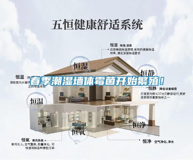 春季潮濕墻體霉菌開始繁殖!