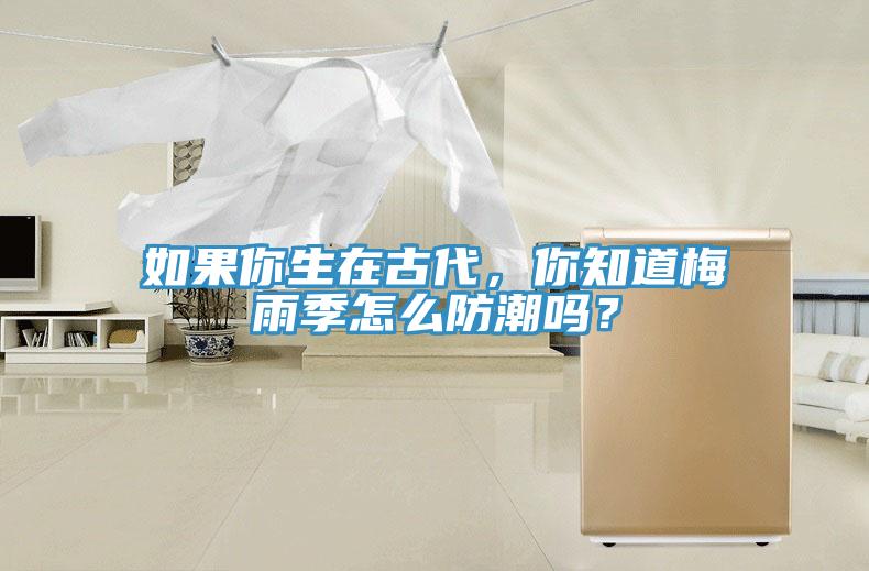 如果你生在古代，你知道梅雨季怎么防潮嗎？