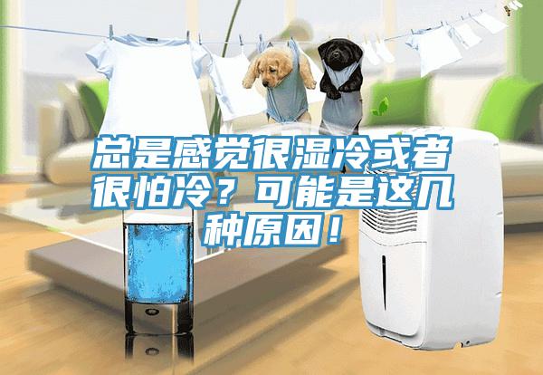 總是感覺很濕冷或者很怕冷？可能是這幾種原因！