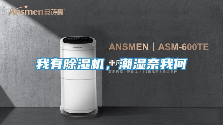 我有除濕機，潮濕奈我何