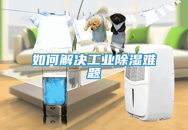 如何解決工業除濕難題