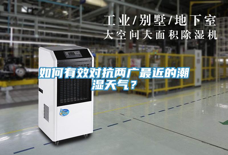如何有效對抗兩廣最近的潮濕天氣？