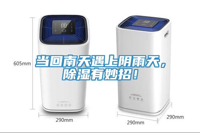 當回南天遇上陰雨天，除濕有妙招！