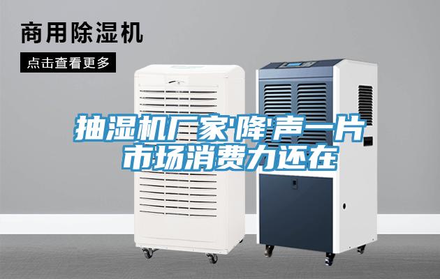 抽濕機廠家'降'聲一片 市場消費力還在