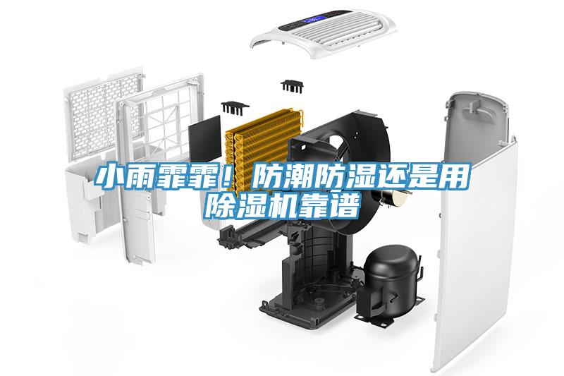 小雨霏霏！防潮防濕還是用除濕機靠譜