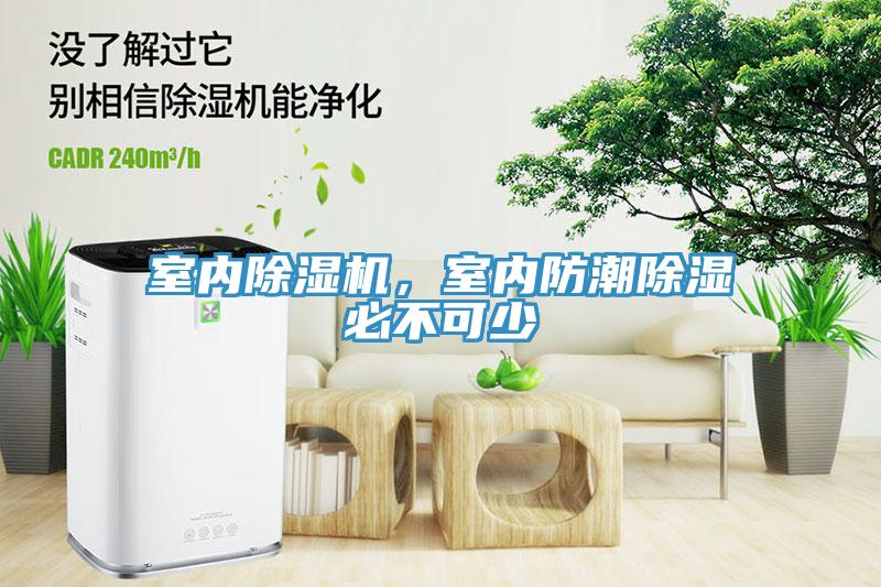 室內除濕機，室內防潮除濕必不可少