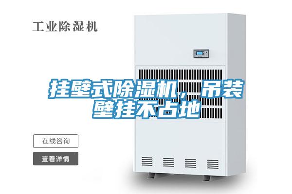 掛壁式除濕機，吊裝壁掛不占地